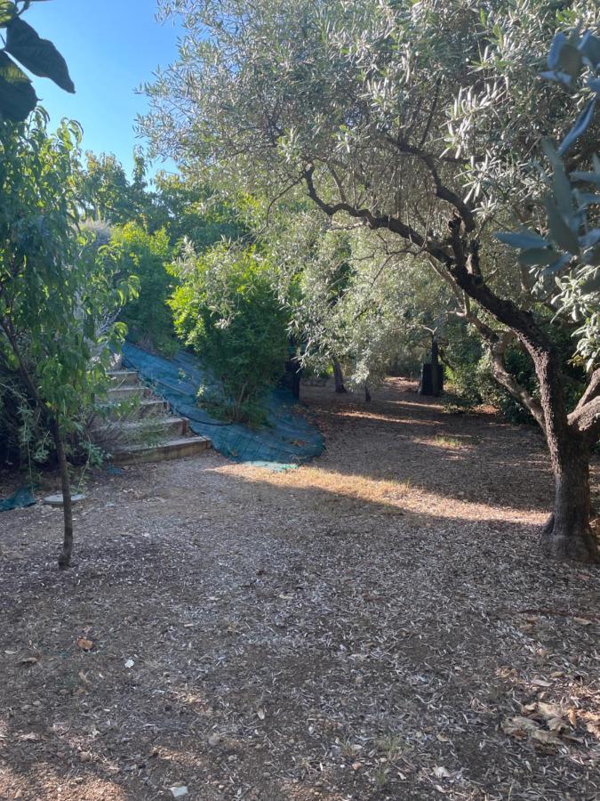 Villa 180 m2 piscine chauffée Draguignan Extérieur photo